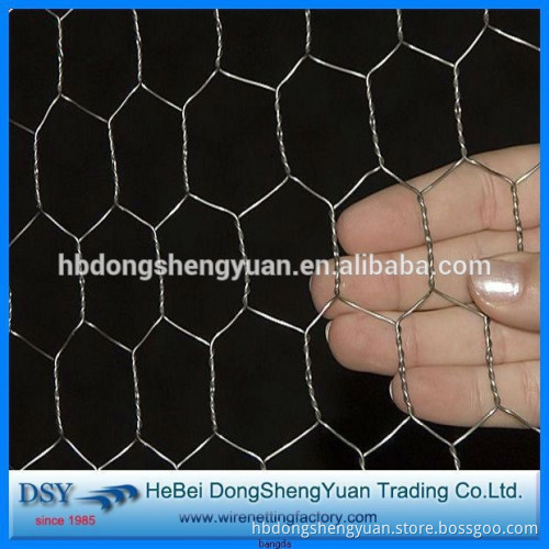 low carbon steel Chicken Coop Hexagonal Wire Mesh
